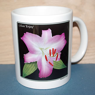 mug DS-101 Lilium Enjoy 6702.jpg